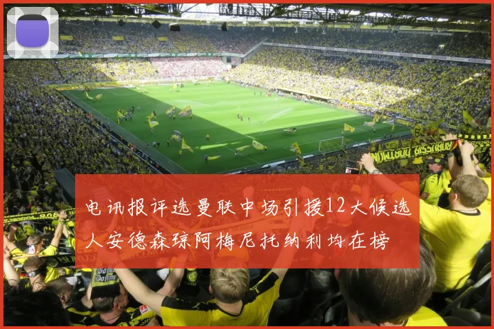 电讯报评选曼联中场引援12大候选人安德森琼阿梅尼托纳利均在榜
